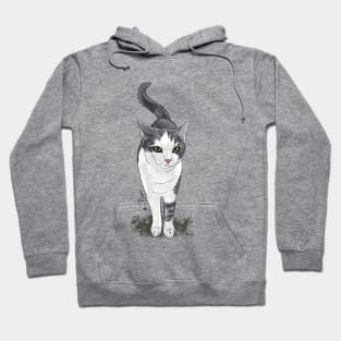 Sivka the cat Hoodie